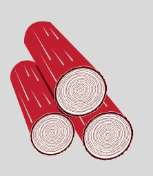 SFFG568_BBQ_SmokingV2b_03