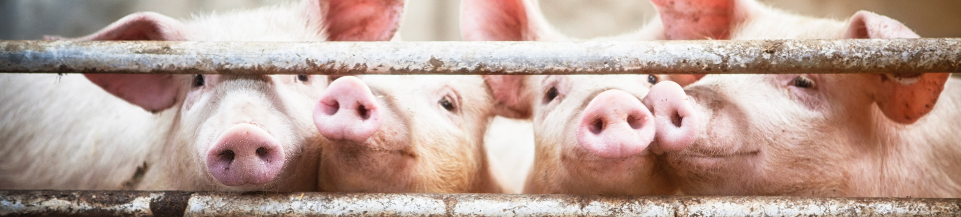 GettyImages-484521569-